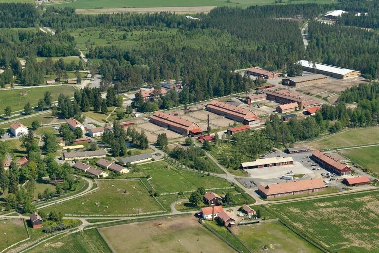 ilmakuva Suomen Hevosopistosta Ypäjältä