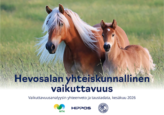 Hevosalan vaikuttavuusanalyysi