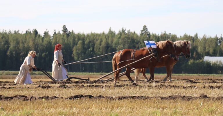 kaksi naista kyntää hevosten kanssa