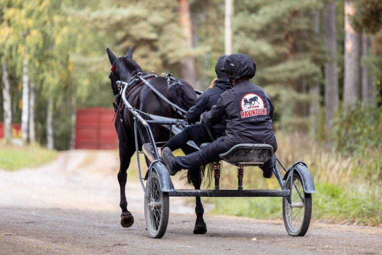 yhdessä ravihevosen rattailla
